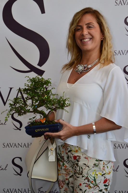 Launching of SAVANAH